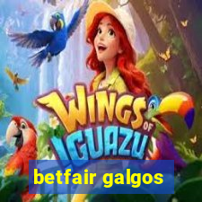 betfair galgos